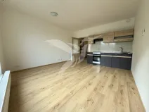 Pronájem bytu 1+kk, Plzeň, Stehlíkova, 30 m2