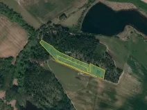 Prodej lesa, Třebíč, 14245 m2