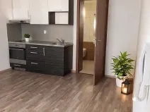 Pronájem bytu 1+kk, Chrudim, Pobřežní, 23 m2
