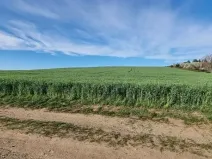 Prodej pole, Rokytnice nad Rokytnou, 25097 m2