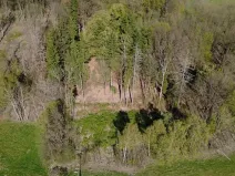 Prodej lesa, Loužnice, 5723 m2