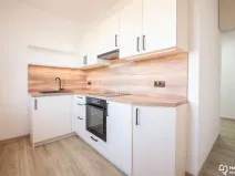 Pronájem bytu 1+1, Olomouc, Fragnerova, 38 m2