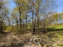 Prodej pozemku, Sušice - Humpolec, 165 m2