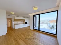Pronájem bytu 1+kk, Olomouc, Ostrovní, 45 m2