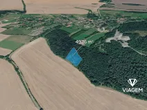 Prodej podílu lesa, Tachov, 2488 m2