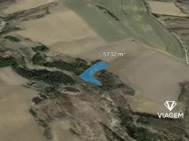 Prodej lesa, Buřenice, 5732 m2