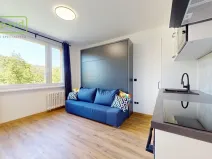 Prodej bytu 1+kk, Ústí nad Labem - Střekov, Tolstého, 20 m2