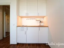 Pronájem bytu 1+kk, Brno, Halasovo náměstí, 20 m2