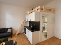Pronájem bytu 1+kk, Praha - Vinohrady, Velehradská, 25 m2