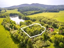 Prodej pozemku, Benešov nad Černou - Hartunkov, 5446 m2