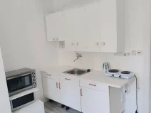 Pronájem bytu 1+kk, Plzeň - Skvrňany, Vejprnická, 20 m2