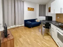 Pronájem bytu 1+kk, Praha - Libeň, Lihovarská, 25 m2