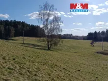 Prodej louky, Janův Důl, 2749 m2