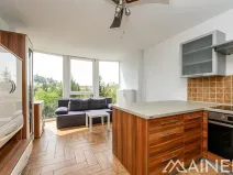 Pronájem bytu 2+kk, Plzeň, Klatovská, 40 m2