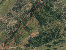 Prodej lesa, Strmilov, 10311 m2