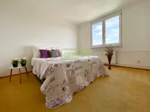 Pronájem bytu 2+1, Brno, Křídlovická, 55 m2