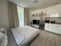 Pronájem bytu 1+kk, Praha - Smíchov, Holubova, 32 m2