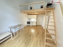 Pronájem bytu 1+kk, Praha - Smíchov, Na Valentince, 50 m2