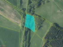 Prodej louky, Broumov - Rožmitál, 4529 m2