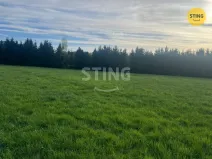 Prodej louky, Raškovice, 8800 m2