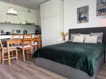 Pronájem bytu 1+kk, Mělník, U Potoka, 32 m2