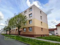 Pronájem bytu 1+kk, Bor, Borská, 20 m2