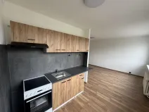 Pronájem bytu 1+kk, Most, Javorová, 33 m2