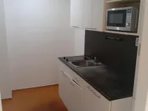 Pronájem bytu 2+1, Jeseník, Tovární, 29 m2