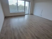 Pronájem bytu 1+kk, Olomouc, Loudova, 37 m2