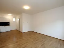 Pronájem bytu 1+kk, Pardubice - Rosice, generála Svobody, 29 m2