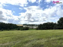 Prodej louky, Rychnov nad Kněžnou, 16663 m2