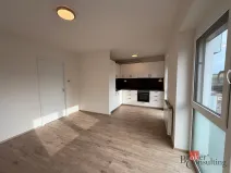 Pronájem bytu 1+kk, Hořovice, Pšeničná, 31 m2