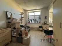 Pronájem bytu 1+kk, Opava - Předměstí, Olbrichova, 30 m2