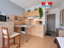 Prodej bytu 1+1, Cheb, Boženy Němcové, 36 m2