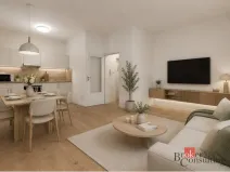 Prodej bytu 1+kk, Ostrava - Přívoz, Palackého, 33 m2