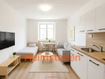 Pronájem bytu 1+kk, Havířov - Město, Mírová, 17 m2