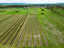 Prodej pozemku, Březí, 3474 m2