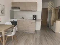 Pronájem bytu 1+1, Louny, Petra Obrovce, 35 m2