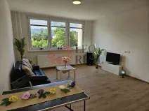 Pronájem bytu 1+kk, Nový Jičín - Loučka, Jičínská, 32 m2