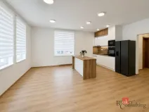 Pronájem bytu 4+kk, Opava - Předměstí, Na Nábřeží, 88 m2