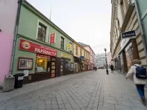 Pronájem obchodního prostoru, Přerov, Wilsonova, 265 m2