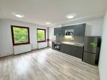Pronájem bytu 1+kk, Litvínov - Horní Litvínov, náměstí Míru, 60 m2