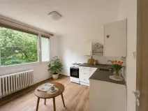 Pronájem bytu 1+1, Litvínov, U Bílého sloupu, 40 m2