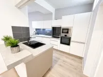 Pronájem bytu 3+kk, Opava, Na Rybníčku, 86 m2