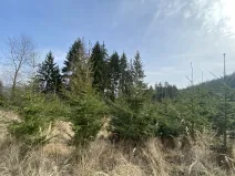 Prodej louky, Městečko Trnávka - Lázy, 1026 m2