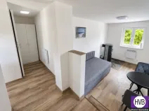 Pronájem bytu 1+kk, Praha, Přetlucká, 25 m2