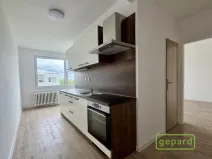 Pronájem bytu 2+1, Veselí nad Lužnicí, K Zastávce, 55 m2