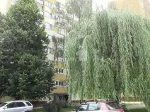 Prodej bytu 4+1, Ostrava - Hrabůvka, Alberta Kučery, 68 m2