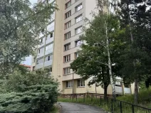 Prodej bytu 1+kk, Ostrava - Moravská Ostrava, Lechowiczova, 27 m2
