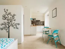 Prodej apartmánu, Staré Město - Stříbrnice, 30 m2